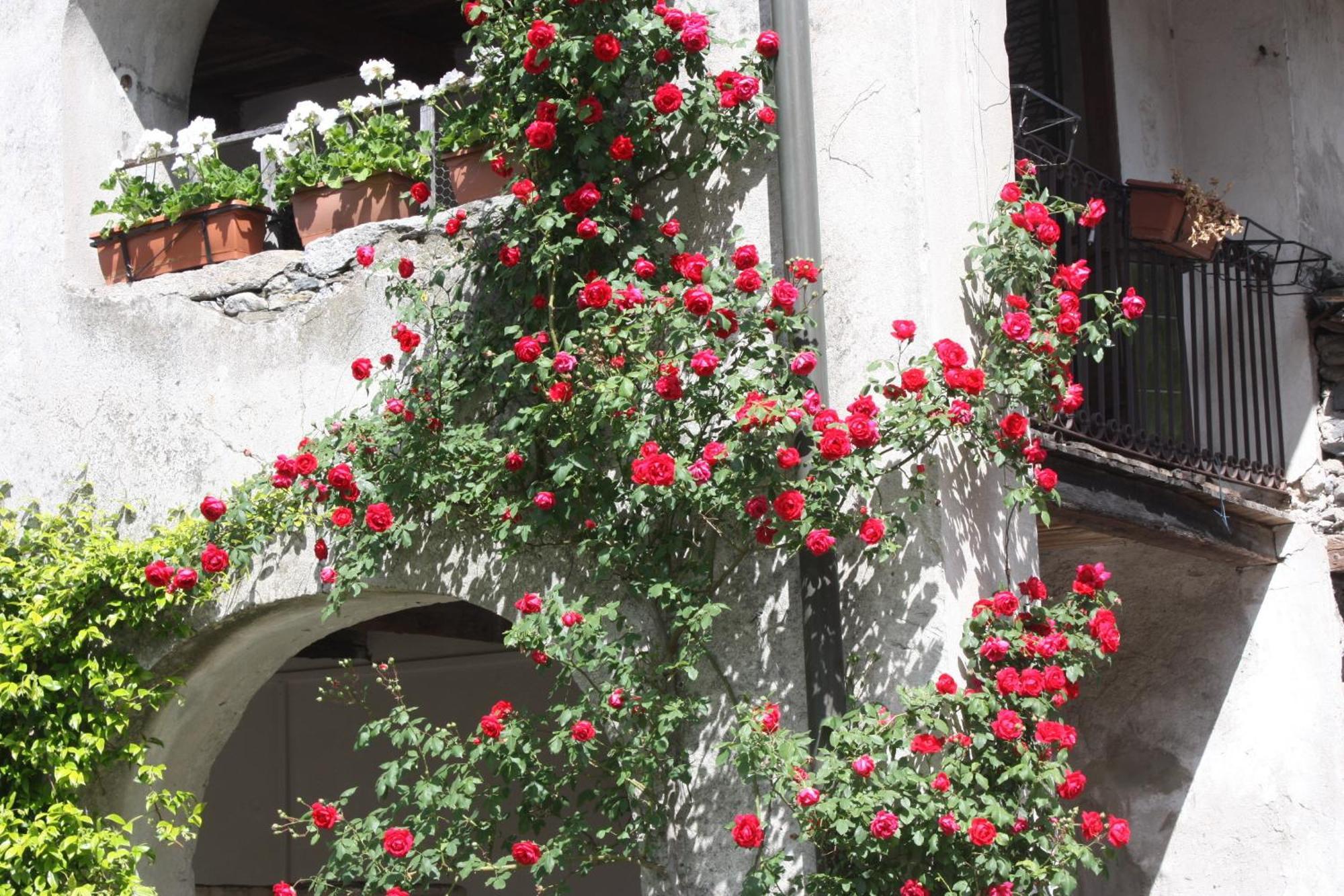 Affittacamere Casa Archi Losone Exterior photo